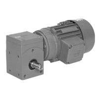 Motoréducteur à vis sans fin SN14, 120W Motoréducteur à vis sans fin SN14, 120W