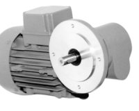 Motoréducteur à vis sans fin SN3FL, 180W Motoréducteur à vis sans fin SN3FL, 180W